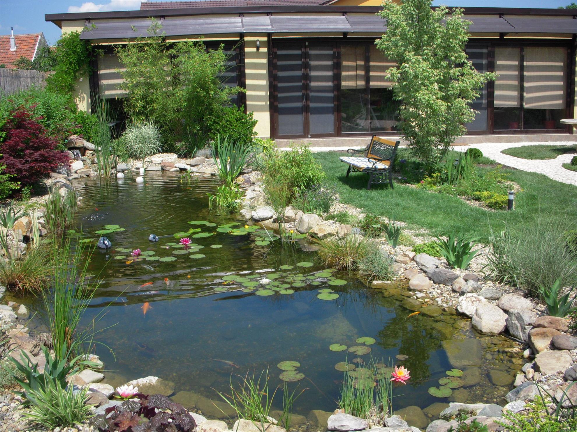 iazuri - 2676picture-104.jpg